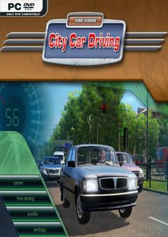 City Car Driving Build 3687189