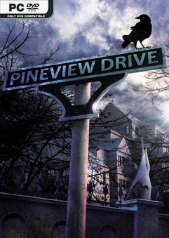 Pineview Drive Homeless-PLAZA