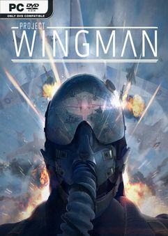 Project Wingman-GOG
