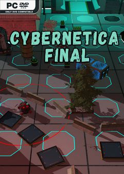 Cybernetica Final-TiNYiSO