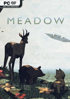 Meadow Build 6886928