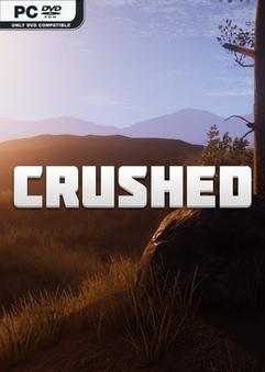 Crushed Build 10360735