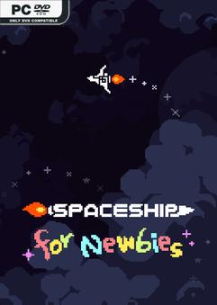 Spaceship for Newbies Build 8722519