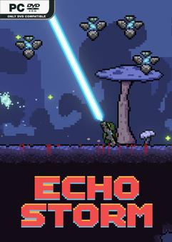 Echo Storm Build 11538629