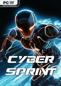 Cyber Sprint-TENOKE