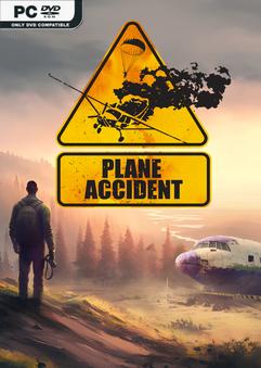 Plane Accident Build 13679742
