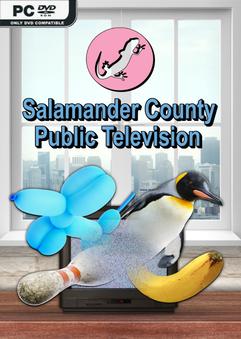 Salamander County Public Television Build 10625898