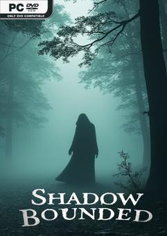 Shadow Bounded-TENOKE