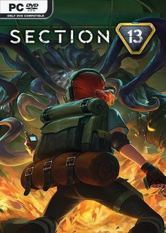 Section 13 v1.1.1-P2P