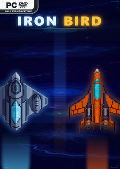 Iron Bird Build 22997281