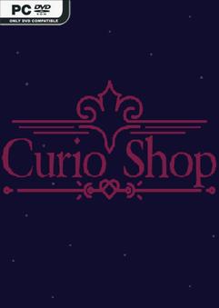 Curio Shop Build 24126571