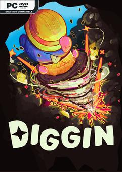 Diggin Build 24241149