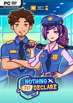 Nothing To Declare Build 24391757