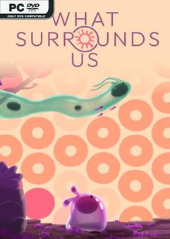 What Surrounds Us Build 24199741